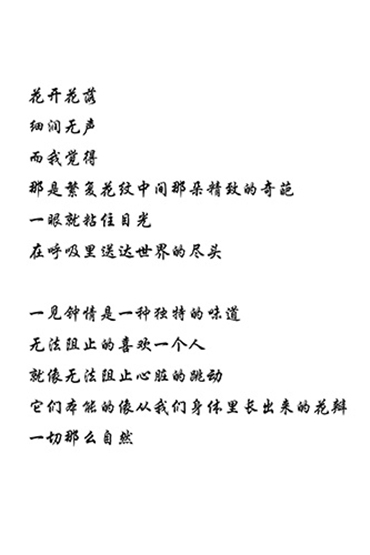 样片1 (12)